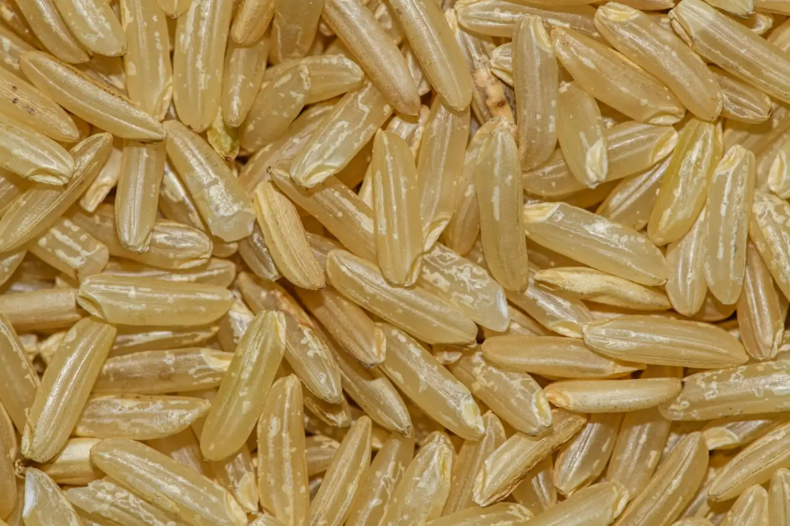 短视频策划拍摄与品牌策划如何协同？企业视觉内容输出的整合策略