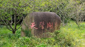 MG 6774