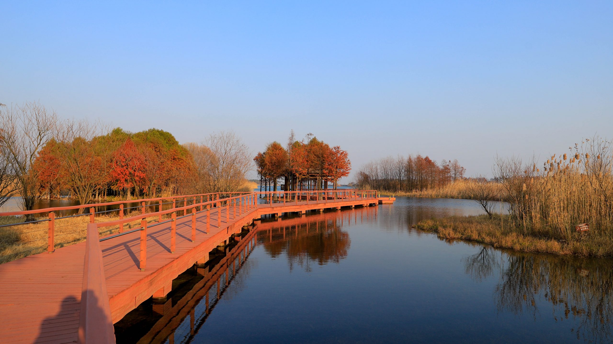 贡湖湾湿地公园地址图片